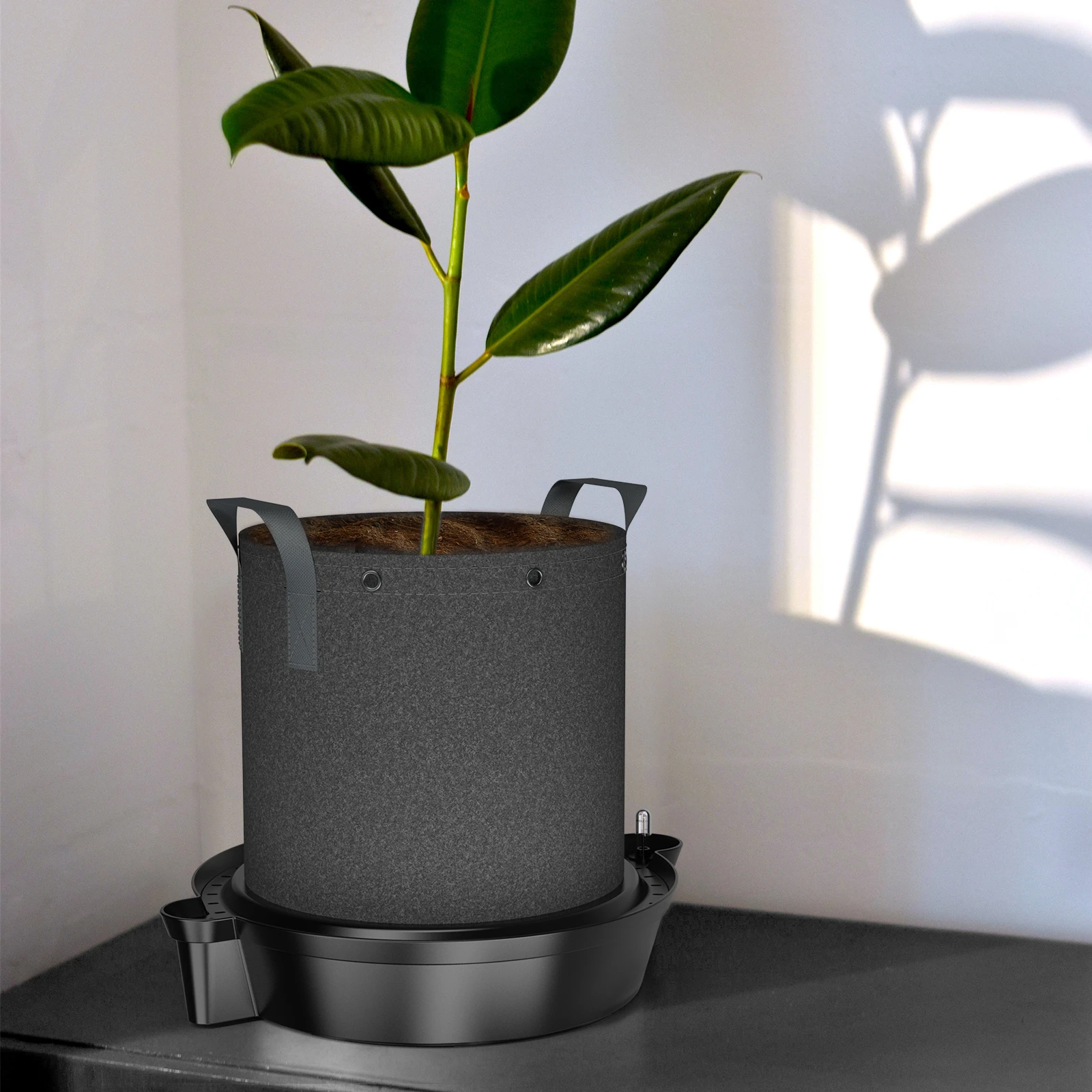 Ac Infinity Self-Watering Fabric Pot Base XL, 4-Pack - Image 7